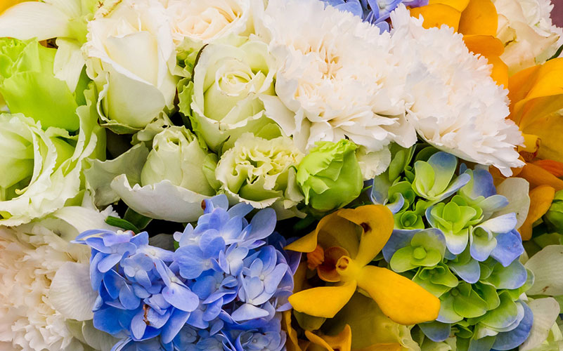 Flowers for Birthday Celebrations