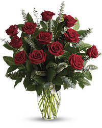 Dozen Red Roses 