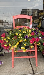Coral Planter Chair