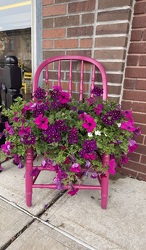 Pink Planter Chair