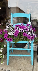 Turquoise Planter Chair