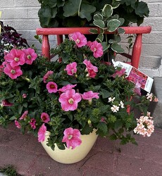 ProvenWinnerPatioPot from Pennycrest Floral in Archbold, OH