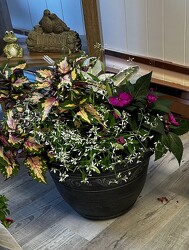 Round Patio Pots from Pennycrest Floral in Archbold, OH