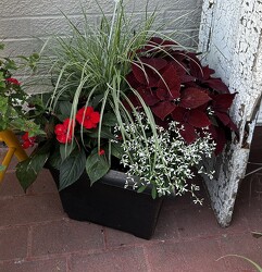 Square Patio Pots from Pennycrest Floral in Archbold, OH